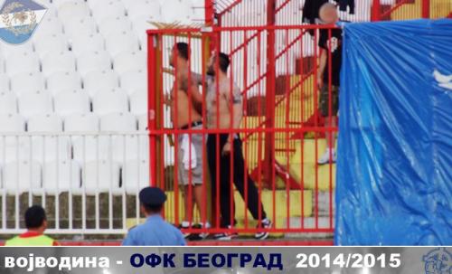 novisad20146